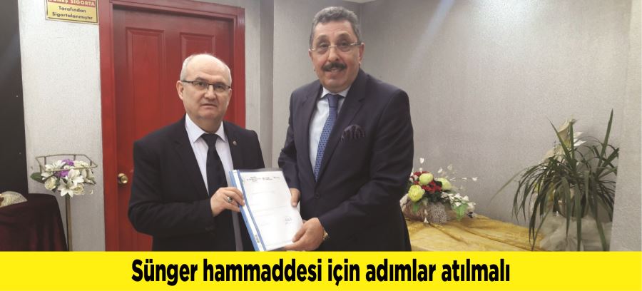 Sünger hammaddesi için adımlar atılmalı