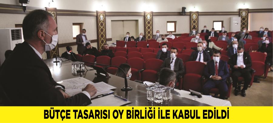 BÜTÇE TASARISI OY BİRLİĞİ İLE KABUL EDİLDİ