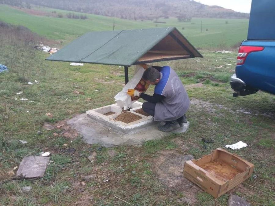 İNEGÖL BELEDİYESİ SOKAK HAYVANLARINI YALNIZ BIRAKMIYOR