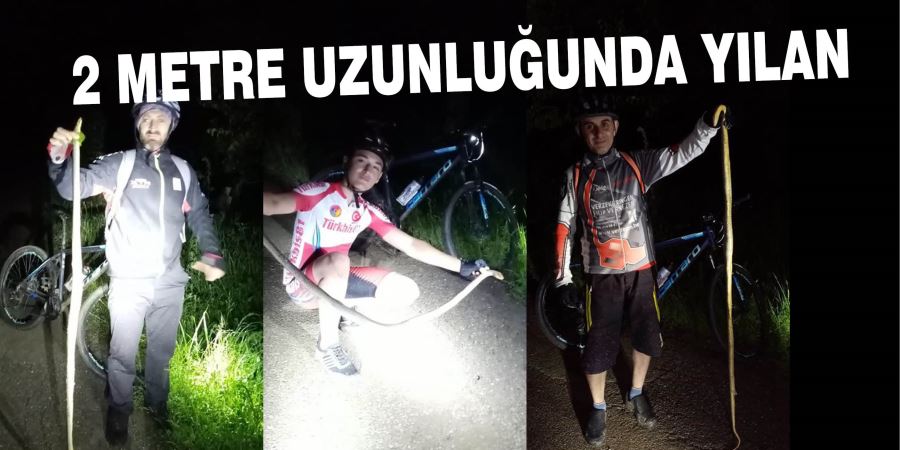 2 METRE UZUNLUĞUNDA YILAN