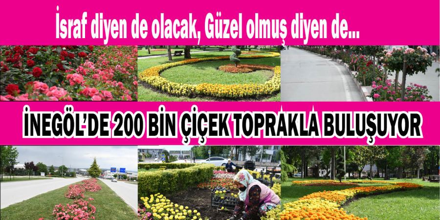 İNEGÖL’DE 200 BİN ÇİÇEK TOPRAKLA BULUŞUYOR