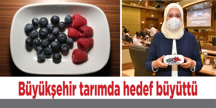 Büyükşehir tarımda hedef büyüttü