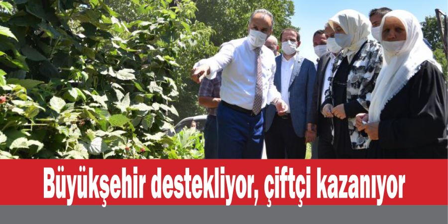 Büyükşehir destekliyor, çiftçi kazanıyor