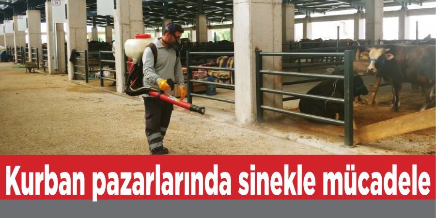 Kurban pazarlarında sinekle mücadele