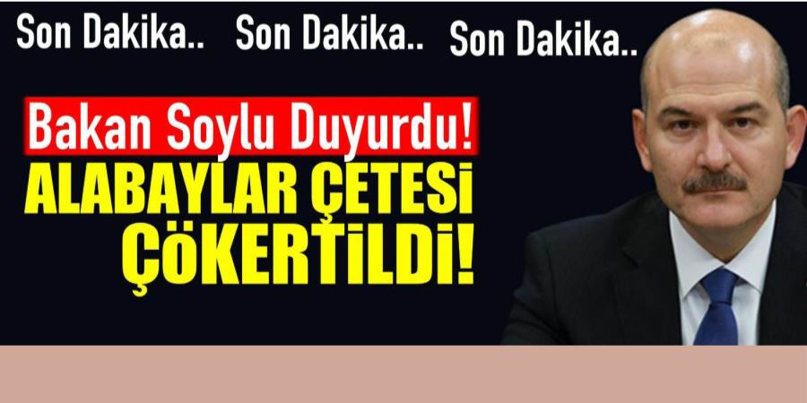 ALABAYLAR ÇETESİ ÇÖKERTİLDİ!