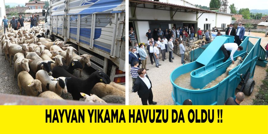 İNEGÖL’DE KÜÇÜKBAŞ HAYVAN YIKAMA HAVUZU HİZMETE GİRDİ