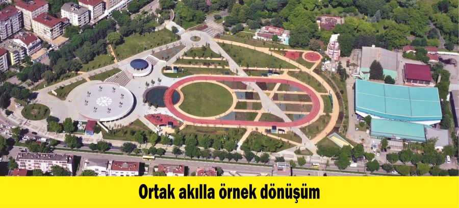 Ortak akılla örnek dönüşüm